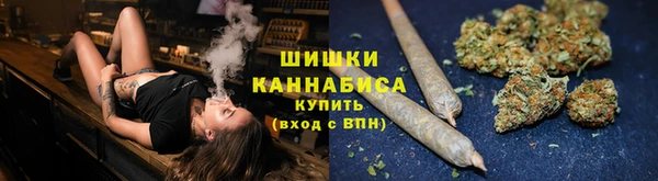 крисы Горнозаводск